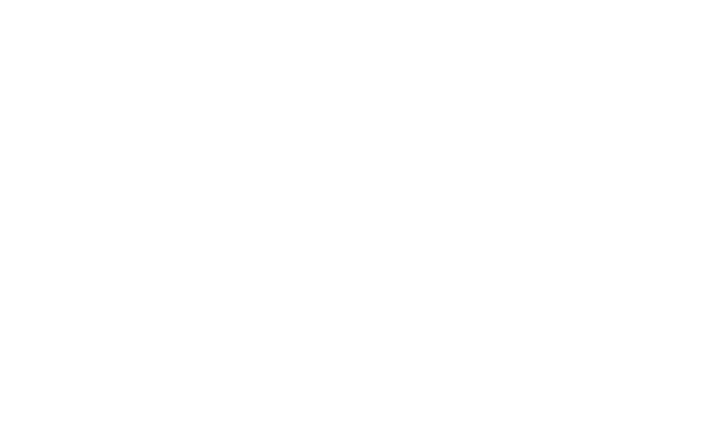 Bartender-Seagull