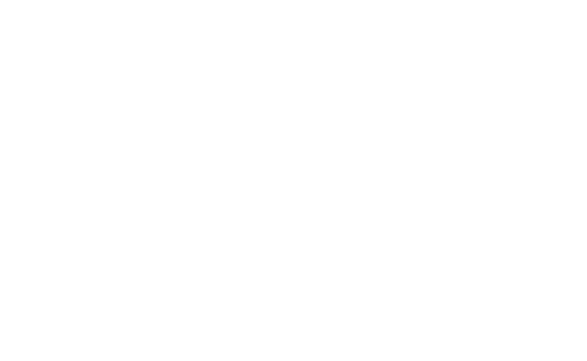 Brady